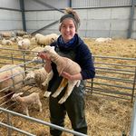 Louise Newport - @eleanorhouse_farm - Instagram