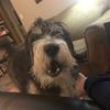 Eleanor Johnston - @eleanorjohnston69 - TikTok