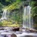 Eleanor Knapp - Facebook