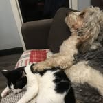 Eleanor Levine - @mrsmctats - Instagram
