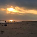 Eleanor Macdonald - @eldawma - Instagram