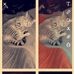 Eleanor Morrow - Facebook