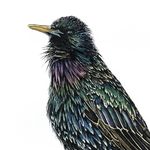 Eleanor L Murphy - @elm.works - Instagram