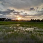 Eleanor Pacete Manaig - @eleanor.pacete - Instagram