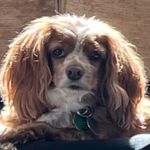 Eleanor Pollock - @miss_eleanorus_rex - Instagram