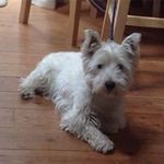 Eleanor Ramsay - @eleanor2375_ - Instagram