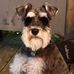 Eleanor Randall - Facebook