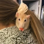 Eleanor Reilly - @hermione_and_me - Instagram