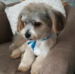 Eleanor Reilly - Facebook