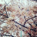 @eleanor_ruddle - Instagram