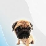 Eleanor Ryan - @ellie_playsroblox - Instagram