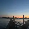 Eleanor Schultz - @eleanor.schultz - TikTok