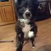 Ellie Schuster - Facebook
