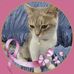 Eleanor Serrano Mendoza - Facebook