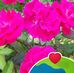 Eleanor Serrano Yatco - Facebook