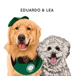 EDUARDO & ELEANOR | Golden Retriever 🇧🇷& Silver poodle Life - @eduardothegoldenretriever - Instagram