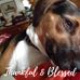 Eleanor Singer - Facebook