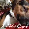Eleanor Singer - @eleanor.singer - TikTok