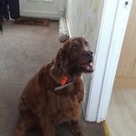 Eleanor Smart - @augustus_0__d - Instagram
