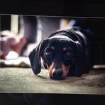 Eleanor Spence - @eleanorspence - Instagram