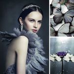Eleanor Steele - @eleanorsteele650 - Instagram