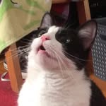 Eleanor Stenberg - @eleanor_is_amazingz - Instagram