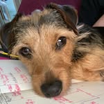 Eleanor Sweeney - @eleanorsweeney_ - Instagram