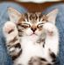 Eleanor Sy - Facebook