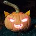 Ellie Timms - Facebook