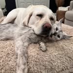 Eleanor the Great and Sir Walter - @elleandwalt - Instagram