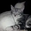 eleanorwalter0 - @eleanorwalter0 - TikTok