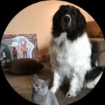 Eleanor&Walter - @eleanorwalter58 - Instagram