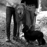 Walter & Eleanor - @walter.and.eleanor - Instagram