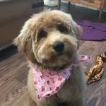 Eleanor R Warren - @elliedadood - Instagram