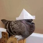 Eleanor Warren - @wompwarren2008 - Instagram