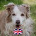 Eleanor Warren - Facebook
