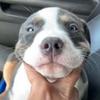 Eleanor Warren - @eleanor.warren7 - TikTok