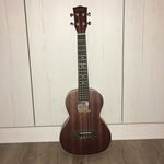 EleanorWarren🎼💞X - @eleanorwarrenukulele.xo - Instagram