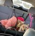Eleanor Wiley - Facebook