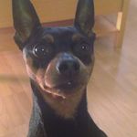 Eleanor Williamson Jw - @williamsonelly_jw_ - Instagram