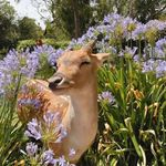 Eleanor Wise - @cottagecore1946 - Instagram