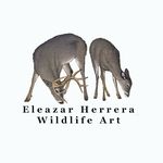 Eleazar Herrera - @eleazarherrerawildlifeart - Instagram