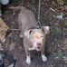 Eleazar Jackson - Facebook