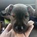 Electra Jackson - Facebook