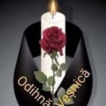 Elemer Varga - @elemer466 - Instagram