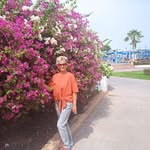 Балашова Елена - @elenabalashova1966 - Instagram