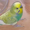 Елена - @elenabalashova75 - TikTok