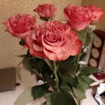 Елена Барташук - @elena_bartashuk - Instagram
