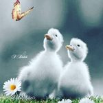 Elena Bartoli - @elenabartoli79 - Instagram