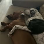 Elena Baselice Zorzi - @baselice_elena_ - Instagram